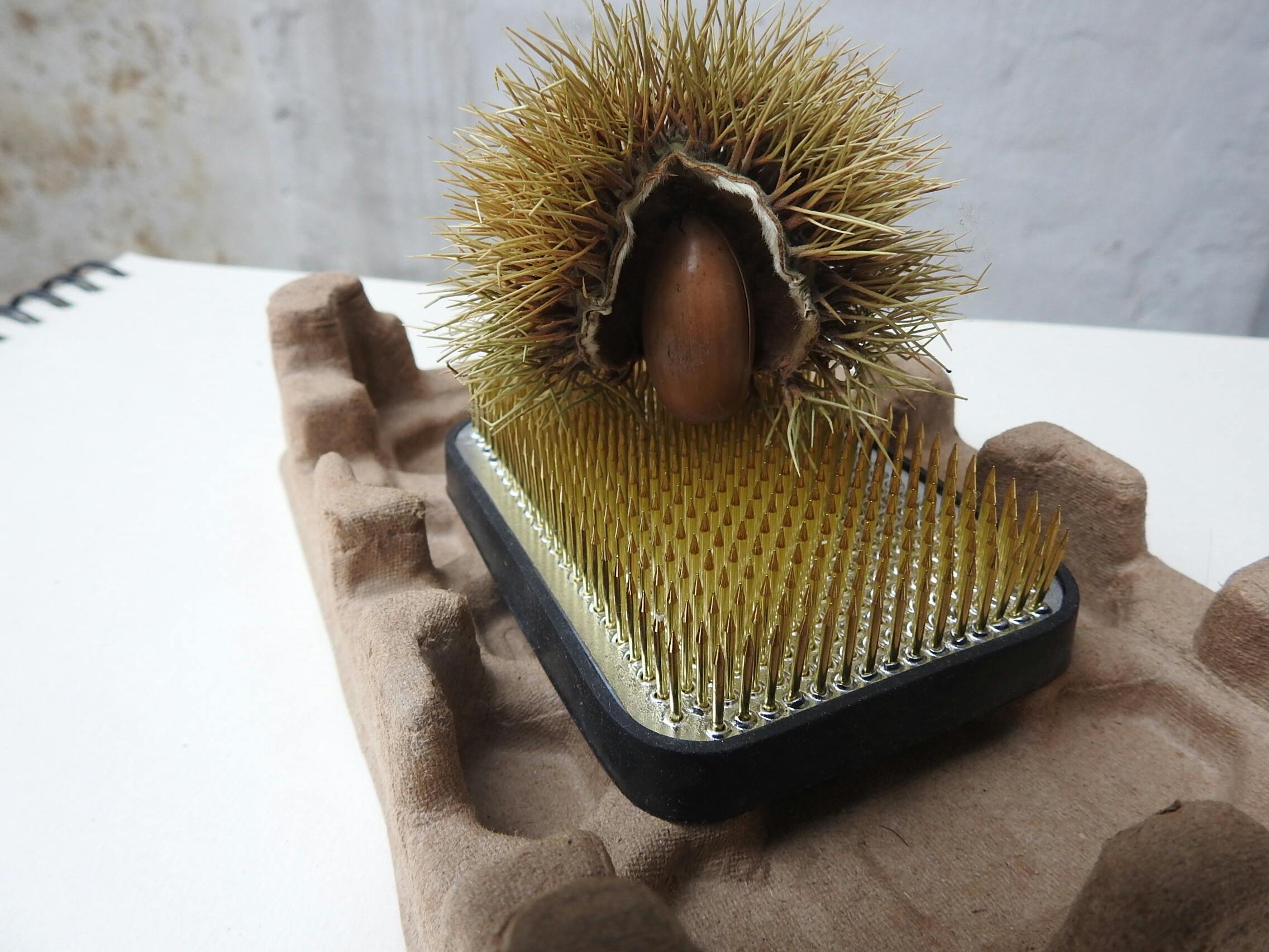 Moseik krijgt Romeinse kroon in Nijmeegs stadspark