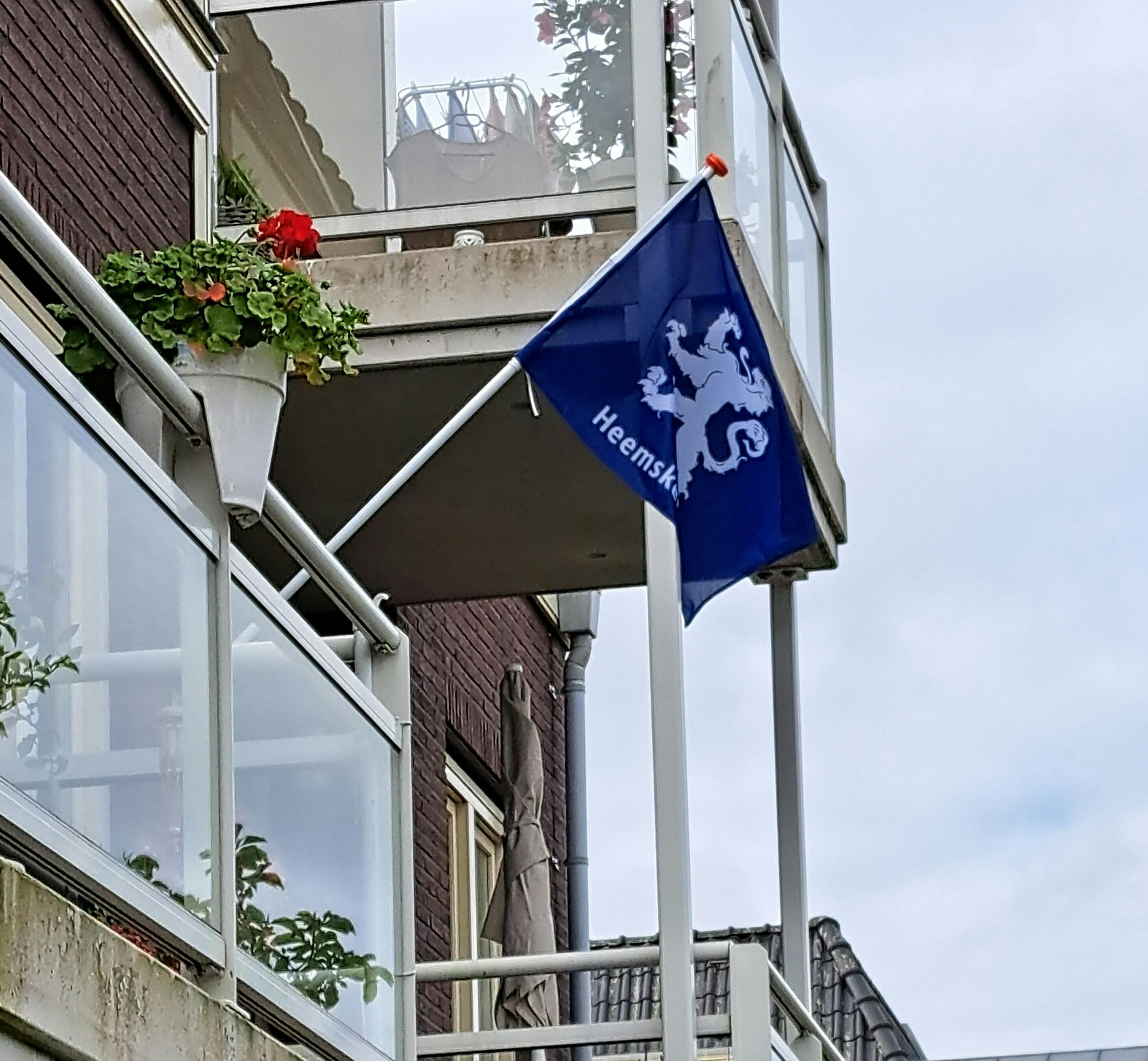 Oproepvoor de rubriek Heemskerk in beeld