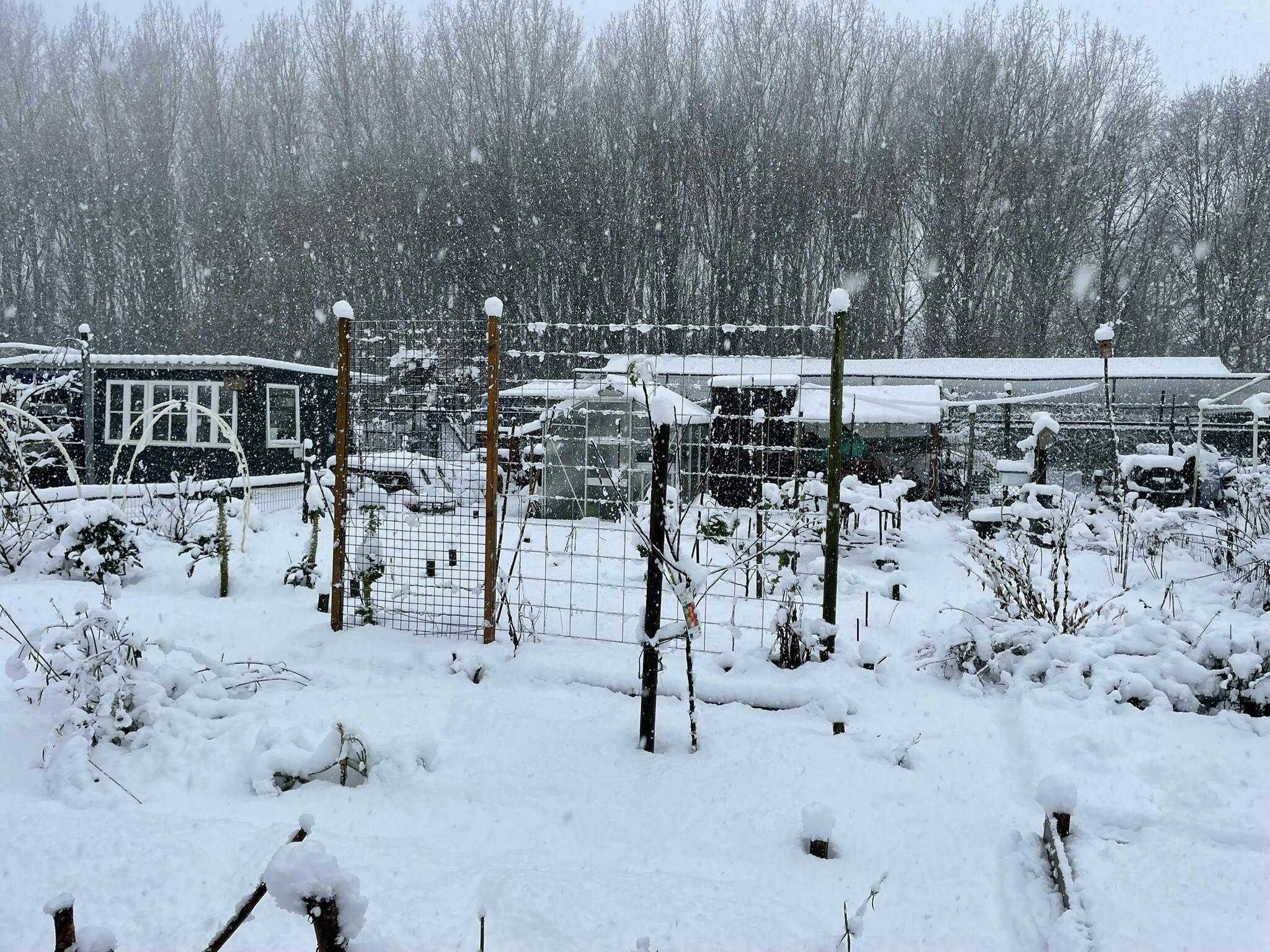 Winter in Volkstuin De Strepen