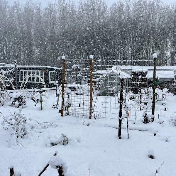 Winter in Volkstuin De Strepen