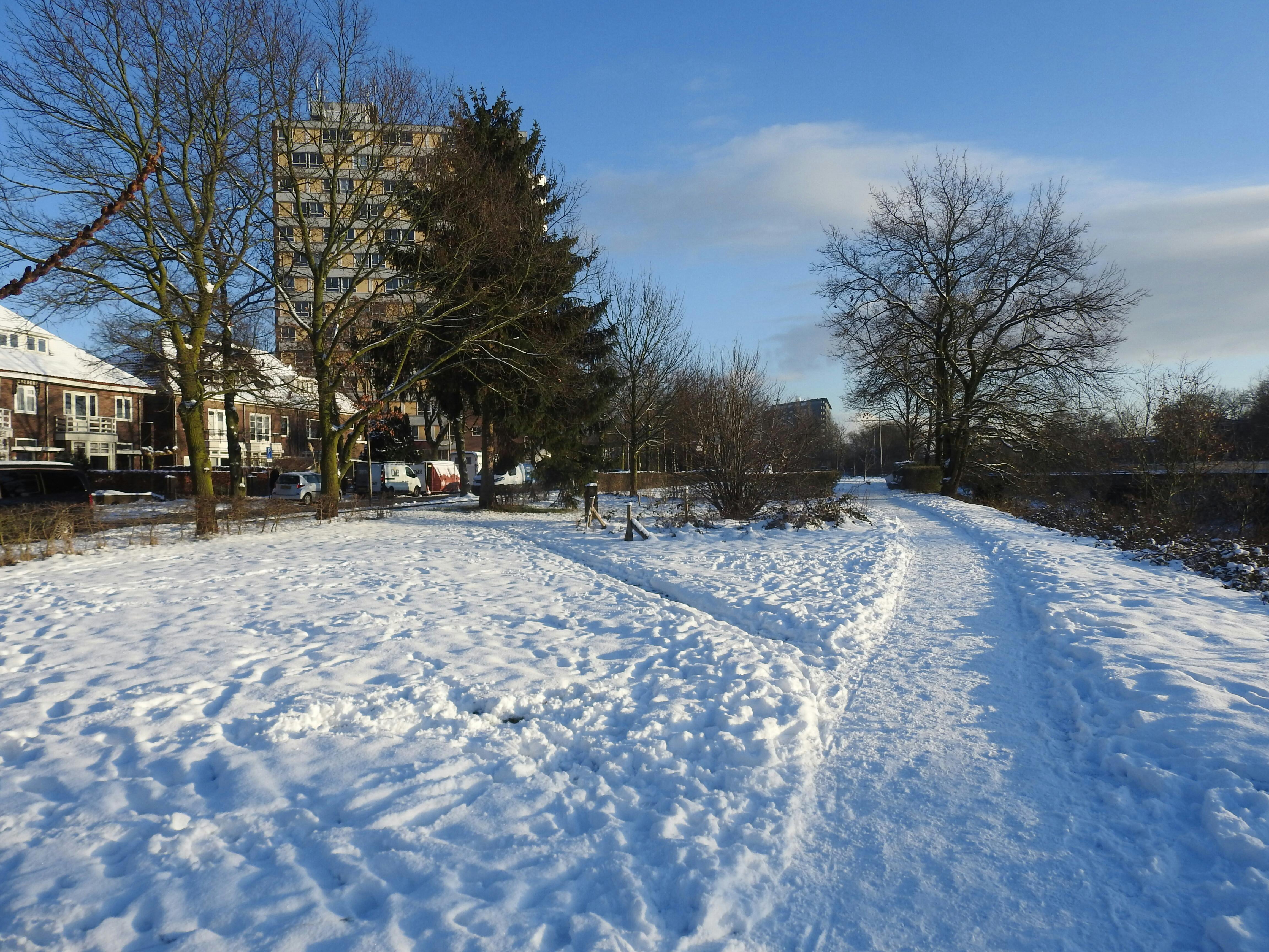 Romeins voedselbos in stadspark en Groene corridor, Nijmegen 2026