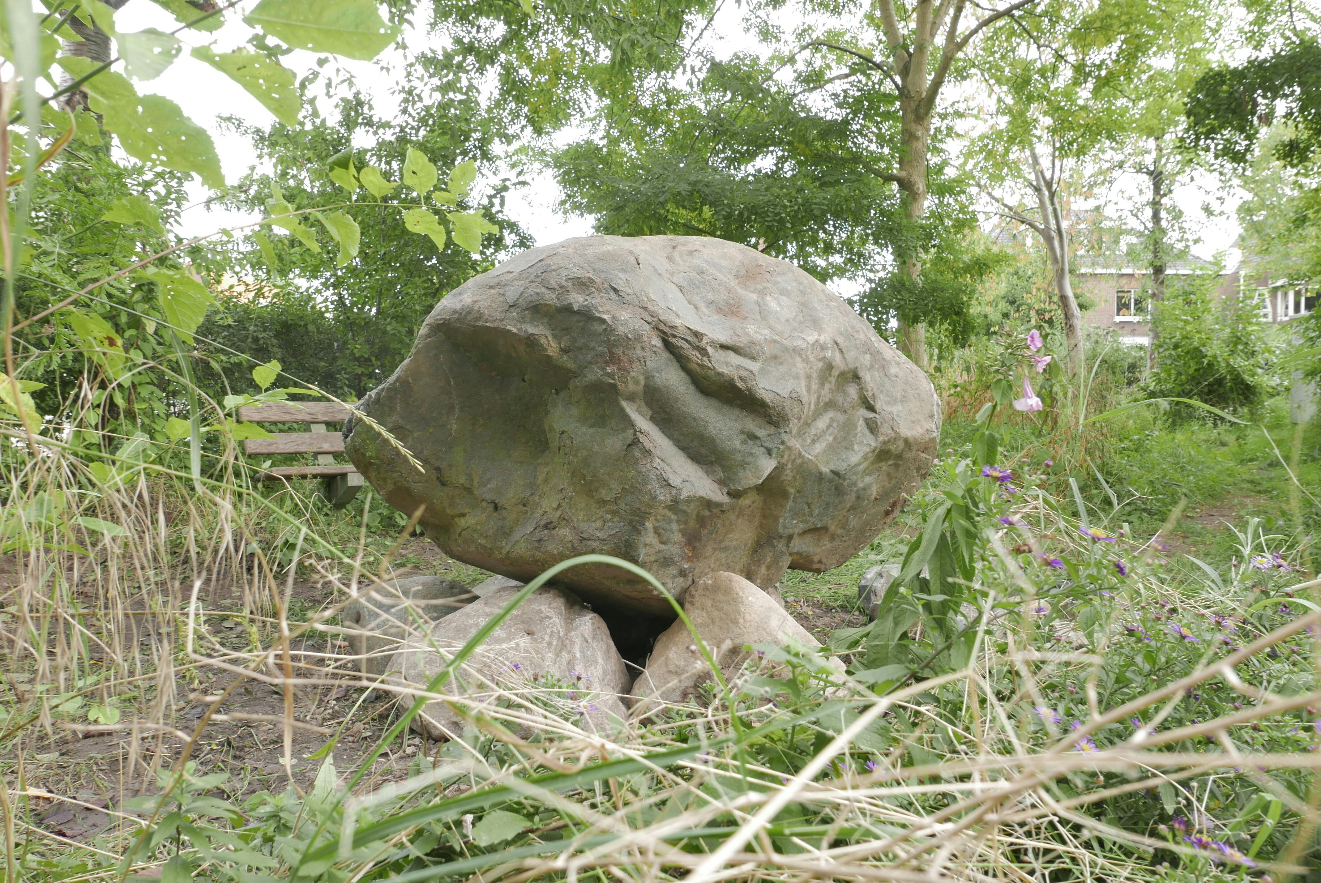 Opfrissing Vlindertuin svp.