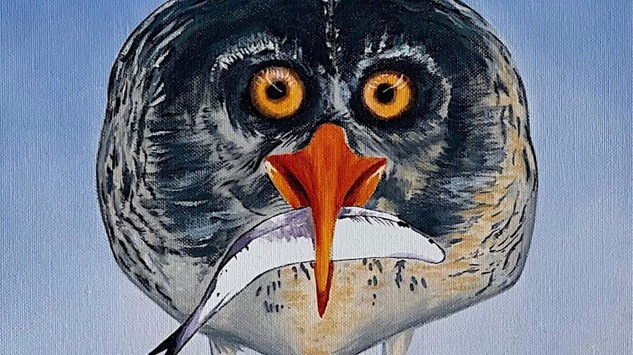 Expo 'Birds of Paradise' in Bibliotheek door wijkgenoot Mirjam Breukers