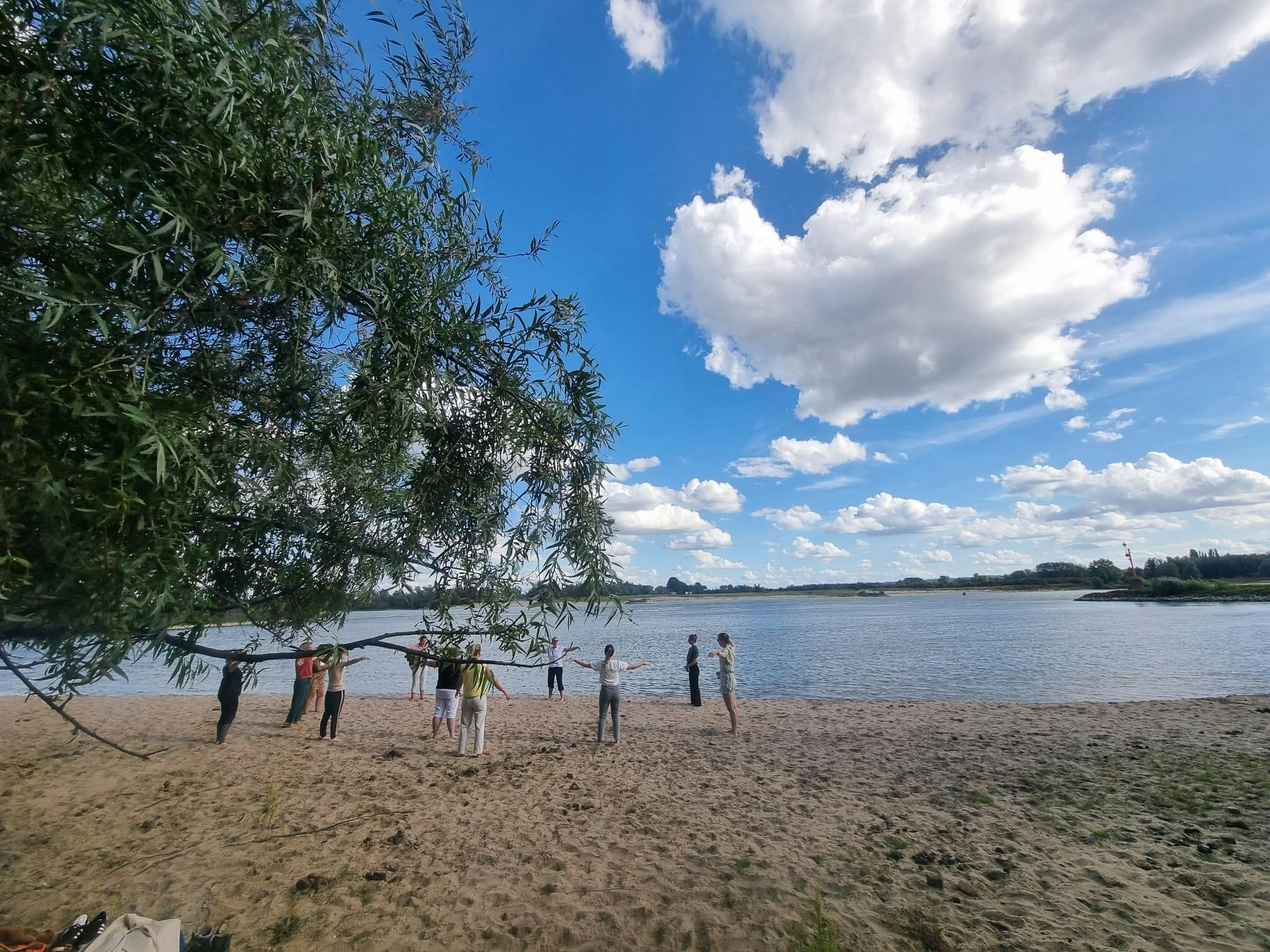 Beweeg mee: Qigong in de natuur
